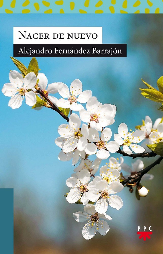 Nacer de nuevo, de Fernández Barrajón, Alejandro | portada del libro