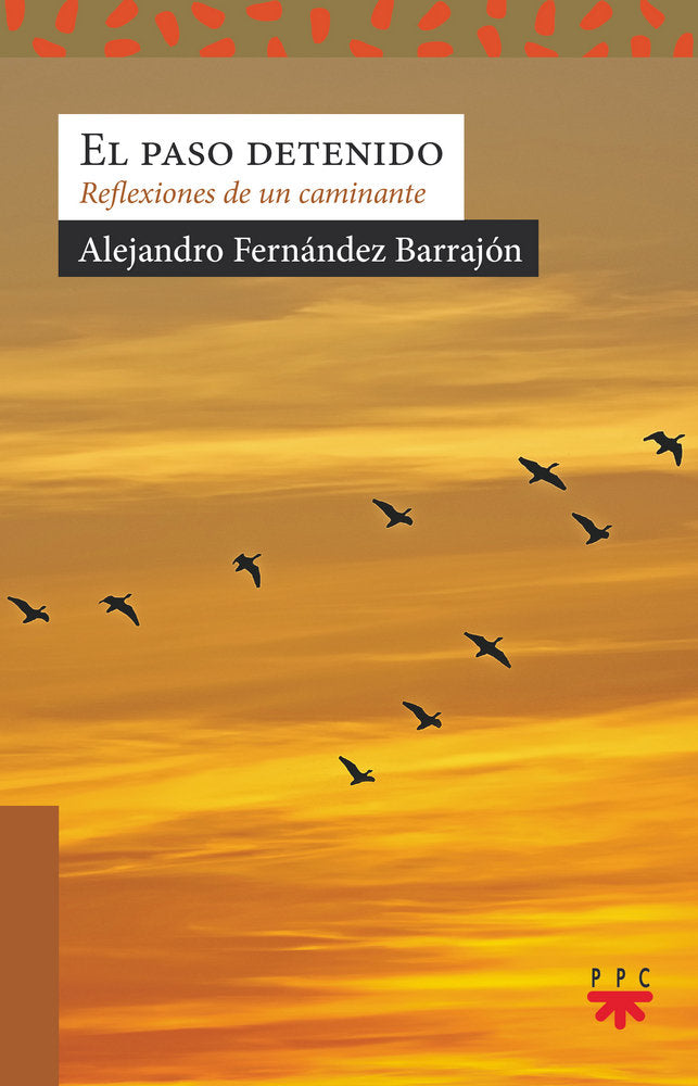 El paso detenido, de Fernández Barrajón, Alejandro | portada del libro