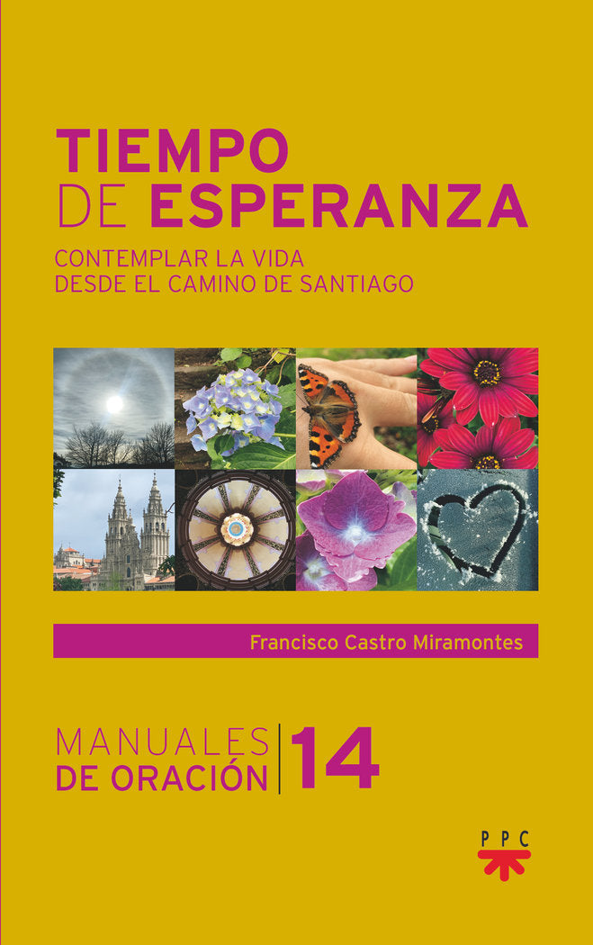 Tiempo de esperanza, de CASTRO MIRAMONTES, FRANCISCO JAVIER | portada del libro