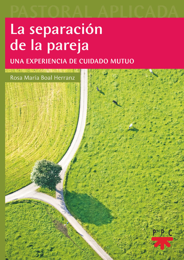 LA SEPARACION DE LA PAREJA, de BOAL HERRANZ, ROSA MARIA | portada del libro