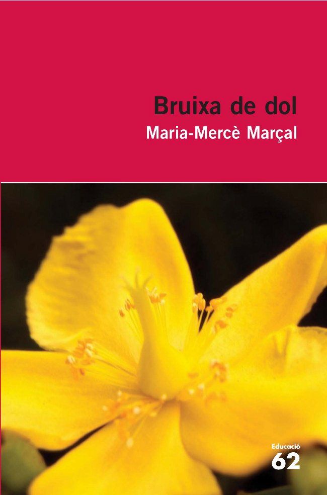 Bruixa de dol (1977-1979), de MARÇAL SERRA, M. MERCÔ | portada del libro