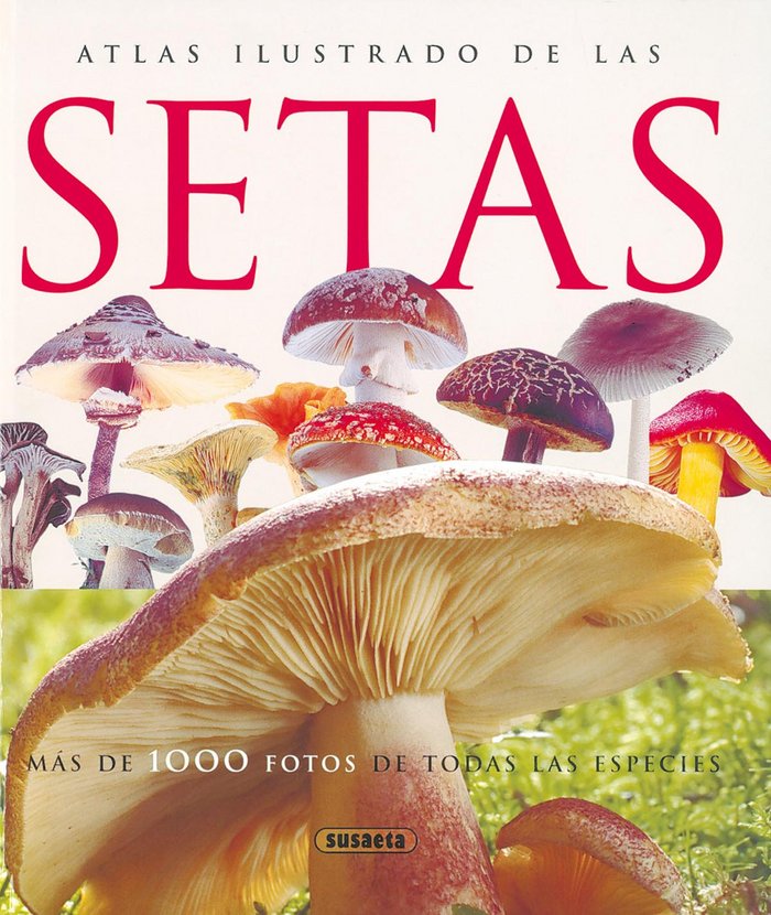 Setas, de Lamaison, Jean-Louis | portada del libro