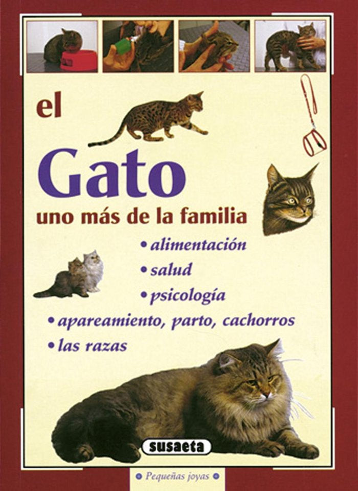 El gato, de Susaeta, Equipo | portada del libro