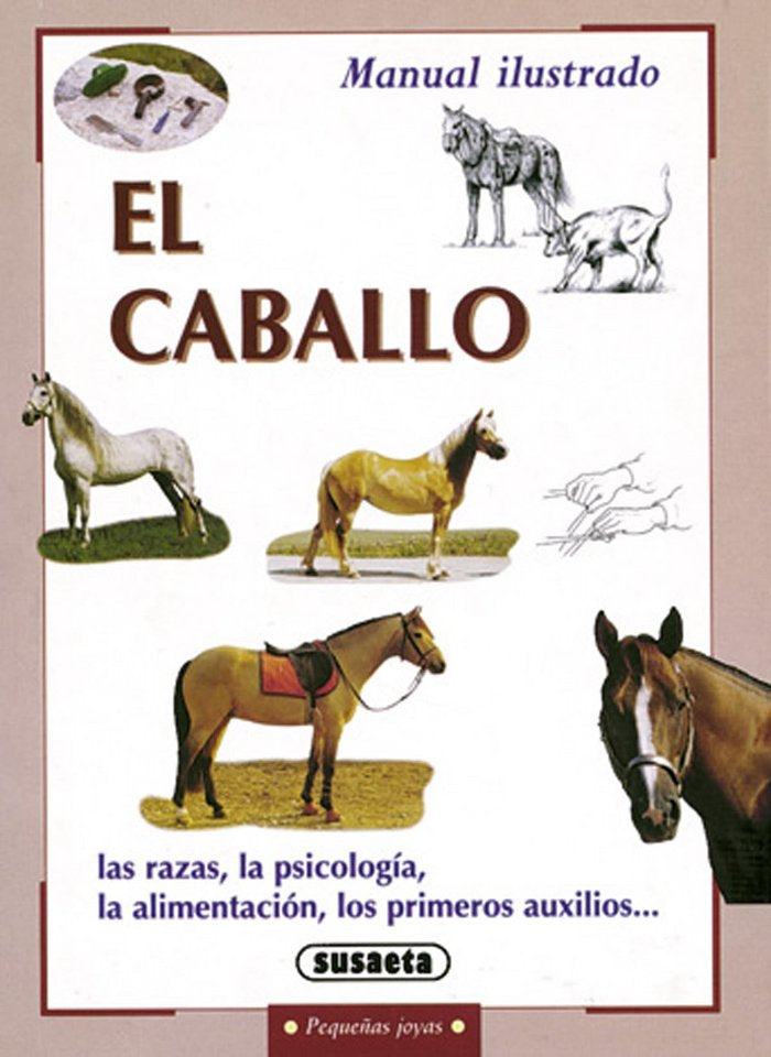 El caballo, de Zorzan, Cinzia | portada del libro