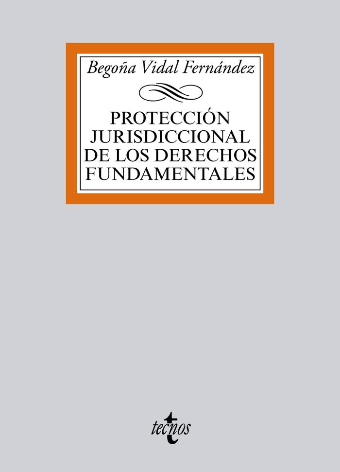 Protección jurisdiccional de los Derechos Fundamentales, de Vidal Fernández, Begoña | portada del libro