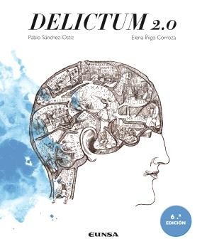 DELICTUM 2.0, de SANCHEZ-OSTIZ GUTIERREZ, PABLO | portada del libro