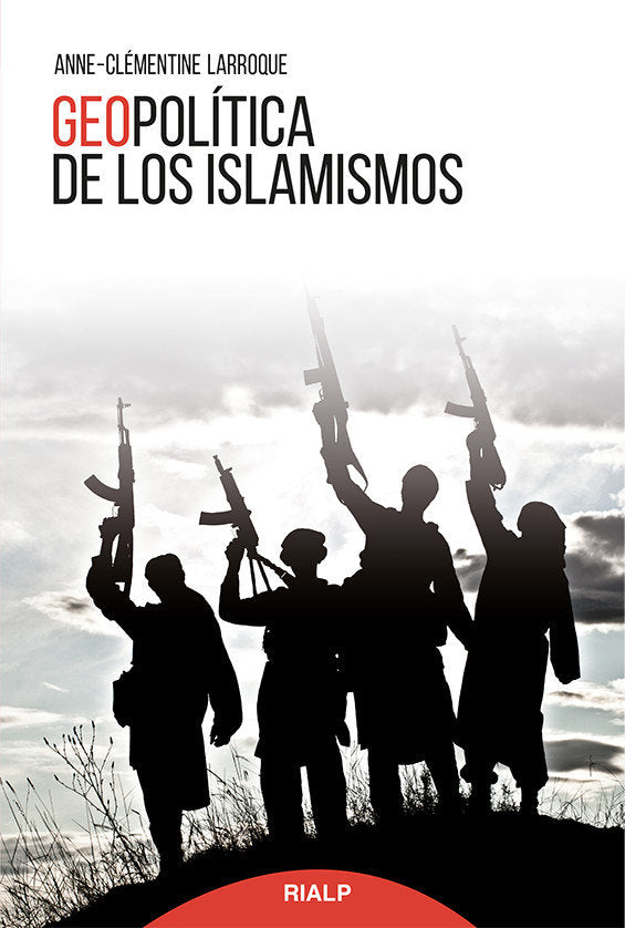 Geopolítica de los islamismos, de Larroque, Anne-Clémentine | portada del libro