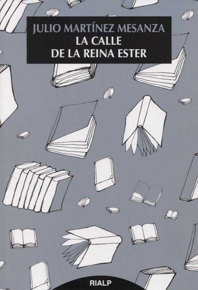 La calle de la reina Ester, de Martínez Mesanza, Julio | portada del libro