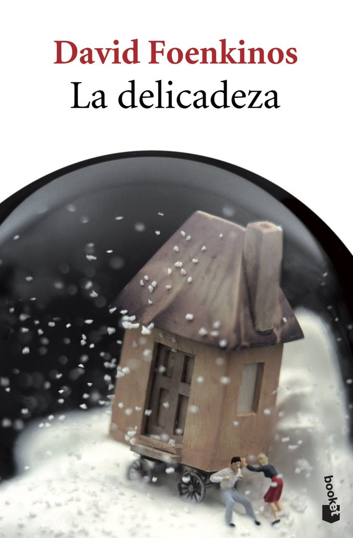 La delicadeza, de Foenkinos | portada del libro