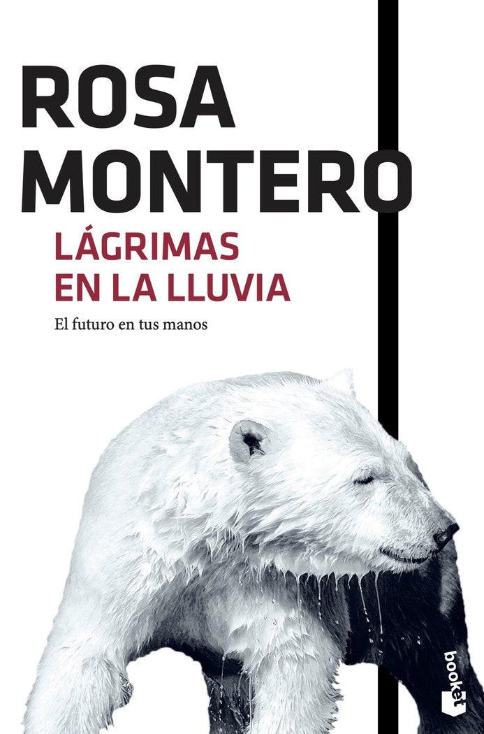 Lágrimas en la lluvia, de Montero, Rosa | portada del libro
