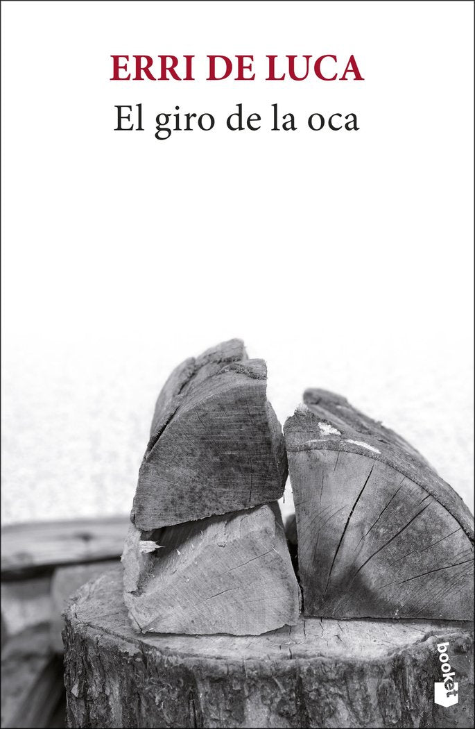 El giro de la oca, de ERRI DE LUCA | portada del libro