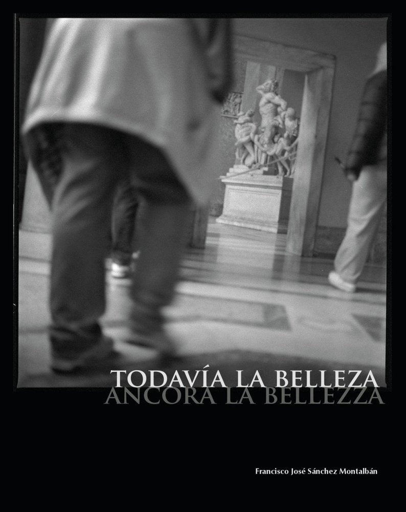 TODAVIA LA BELLEZA, de SANCHEZ MONTALBAN | portada del libro
