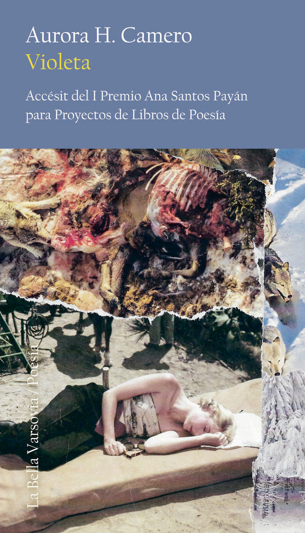 VIOLETA, de H. CAMERO, AURORA | portada del libro