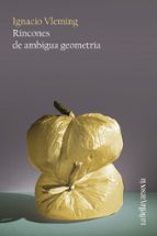 RINCONES DE AMBIGUA GEOMETRÍA, de Ignacio Vleming | portada del libro