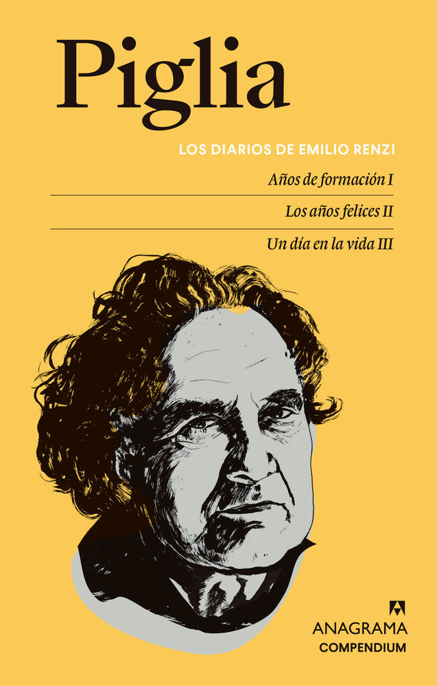 LOS DIARIOS DE EMILIO RENZI, de PIGLIA, RICARDO | portada del libro