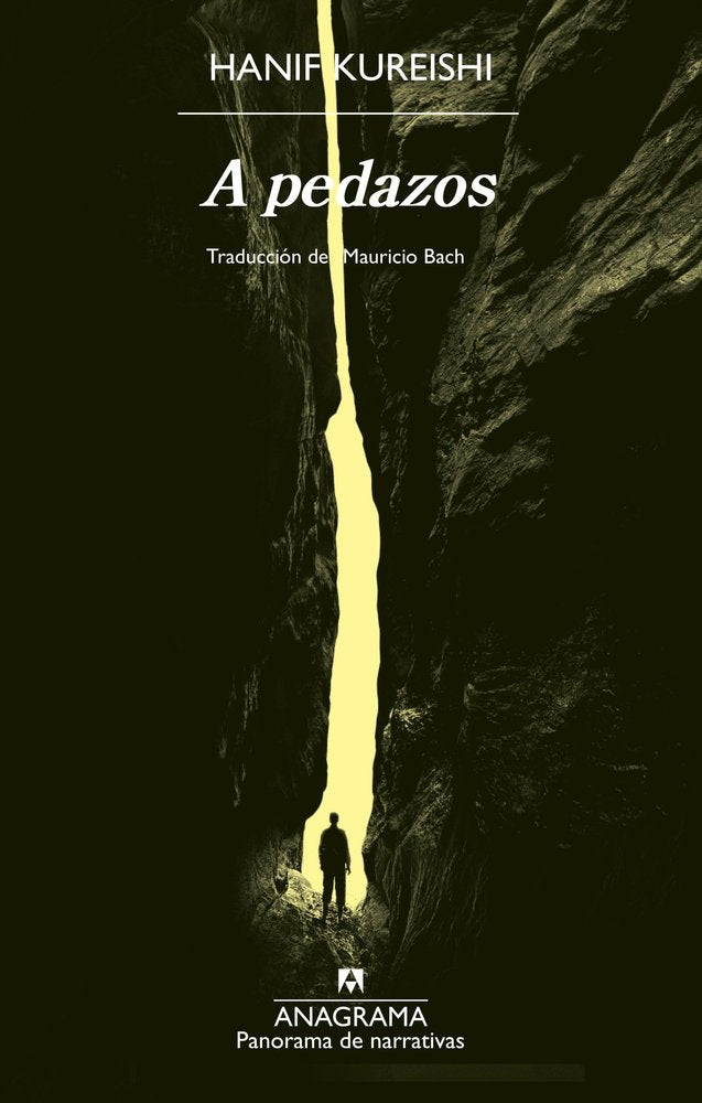 A PEDAZOS, de KUREISHI, HANIF | portada del libro