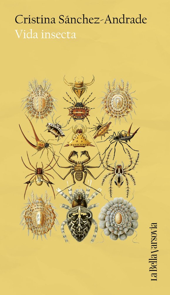 VIDA INSECTA, de SANCHEZ-ANDRADE, CRISTINA | portada del libro