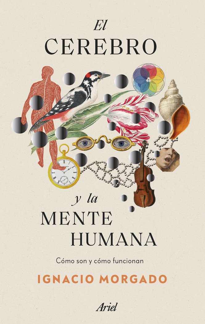 EL CEREBRO Y LA MENTE HUMANA, de IGNACIO MORGADO | portada del libro