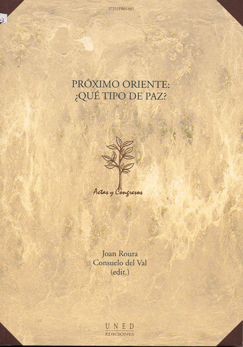 Próximo oriente ¿qué tipo de paz?, de Roura | portada del libro