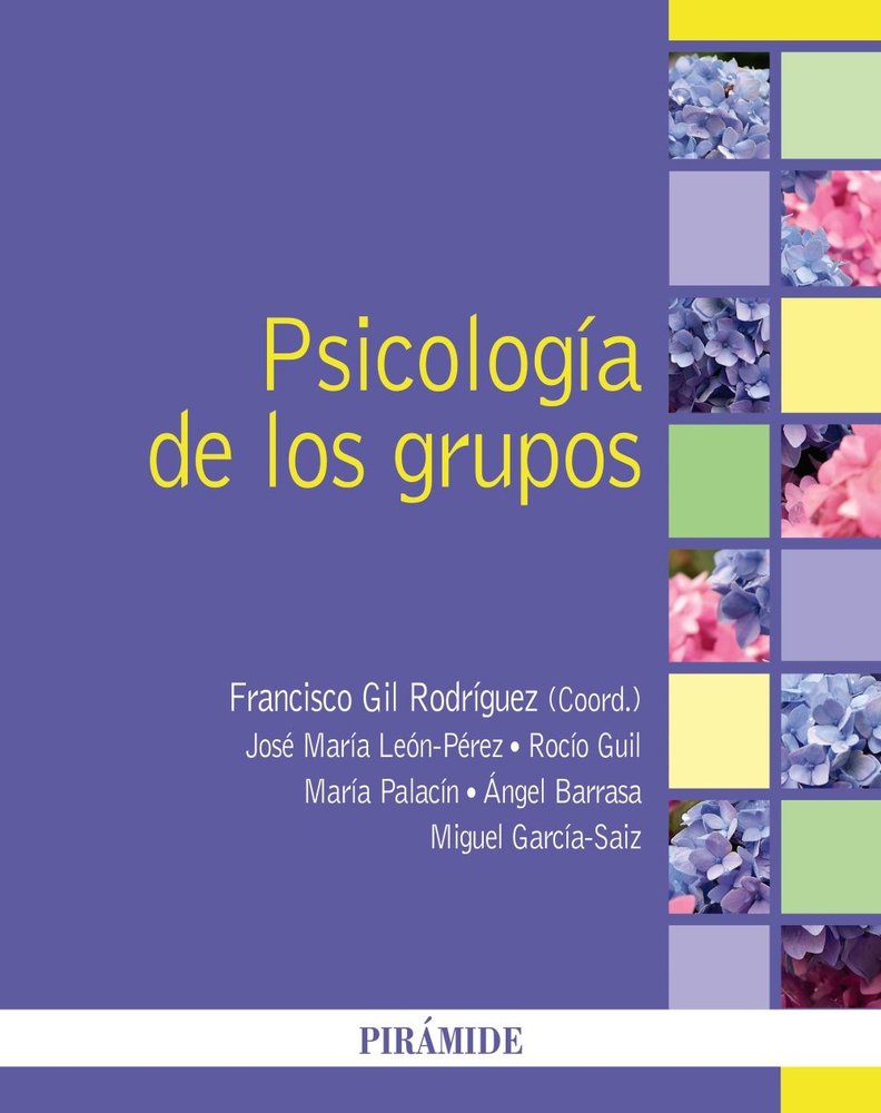 PSICOLOGIA DE LOS GRUPOS, de GIL RODRIGUEZ, FRANCISCO | portada del libro