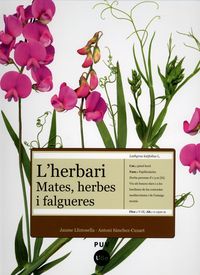 L'HERBARI, de LLISTOSELLA VIDAL | portada del libro
