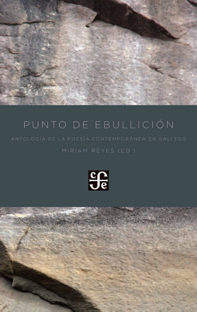 Punto de ebullición, de REYES,MIRIAM | portada del libro