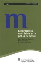 REINCIDENCIA EN EL DELICTE EN LA JUSTICIA DE MENORS, de FERRER PUIG, MARTA | portada del libro