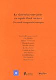 violència entre joves en espais d'oci nocturn. Un estudi comparatiu europeu/La, de RECASENS I BRUNET (COORD.), AMADEU | porta