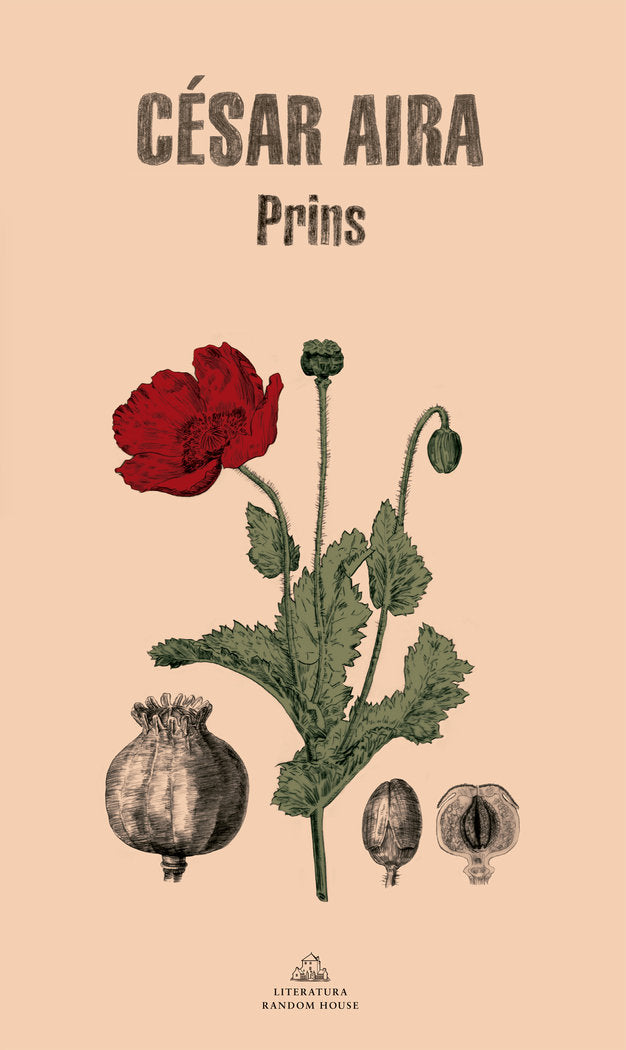 Prins, de Aira, César | portada del libro