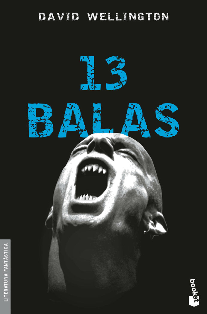 13 balas, de Wellington | portada del libro
