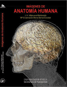 Imágenes de Anatomía Humana, de Villanueva Maldonado | portada del libro