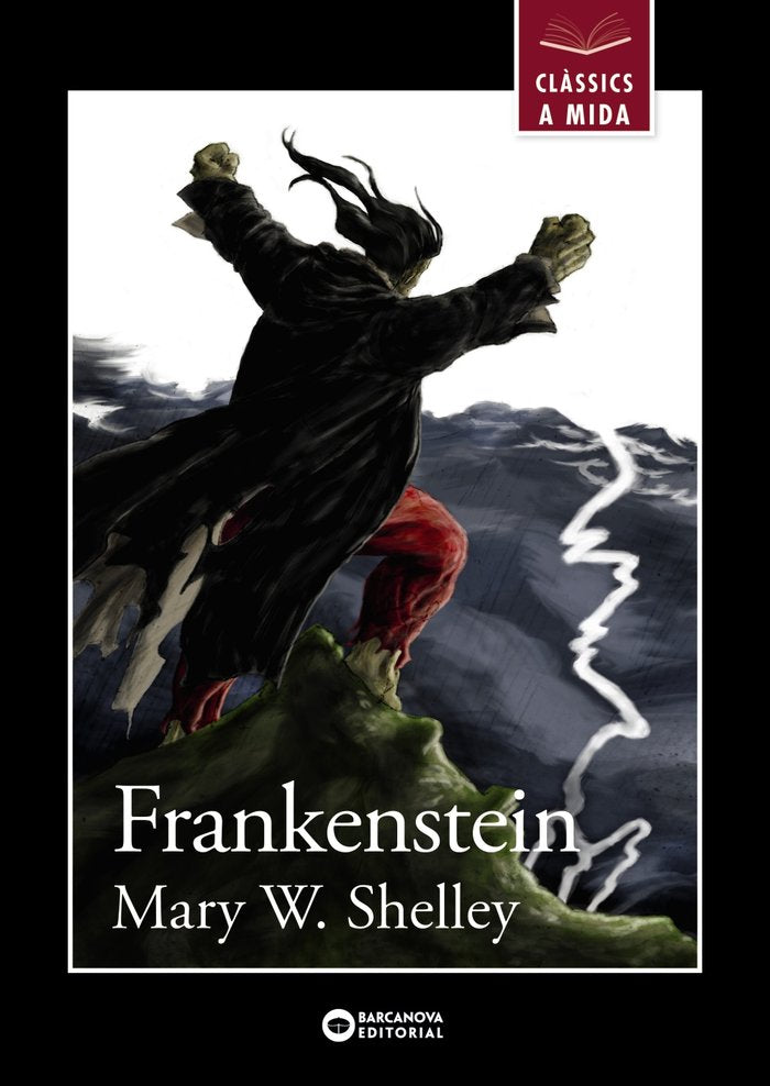 Frankenstein, de Shelley, Mary W. | portada del libro