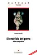 El encÄfalo del perro, de Vicente Aige Gil | portada del libro