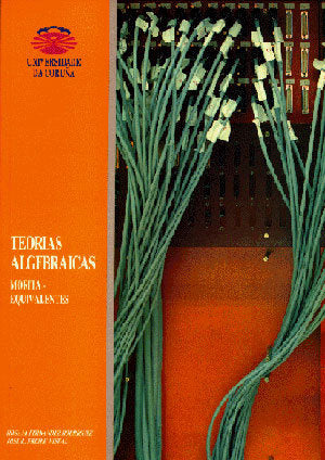Teorías algebraicas morita-equivalentes, de Freire Nistal | portada del libro
