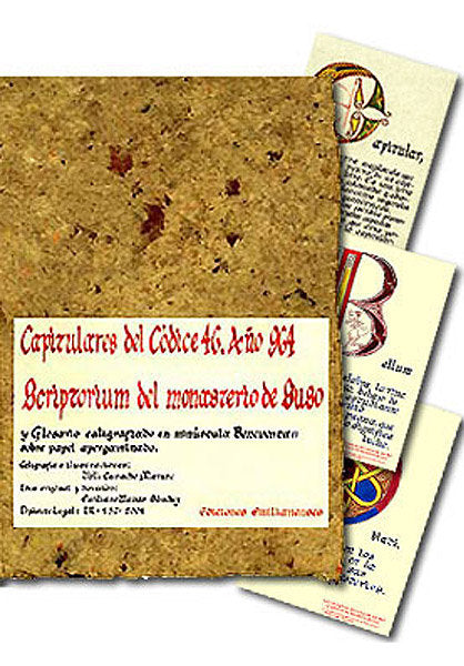 CAPITULARES DEL CODICE 46, de CAMACHO MATUTE, MARIA DEL VALLE | portada del libro