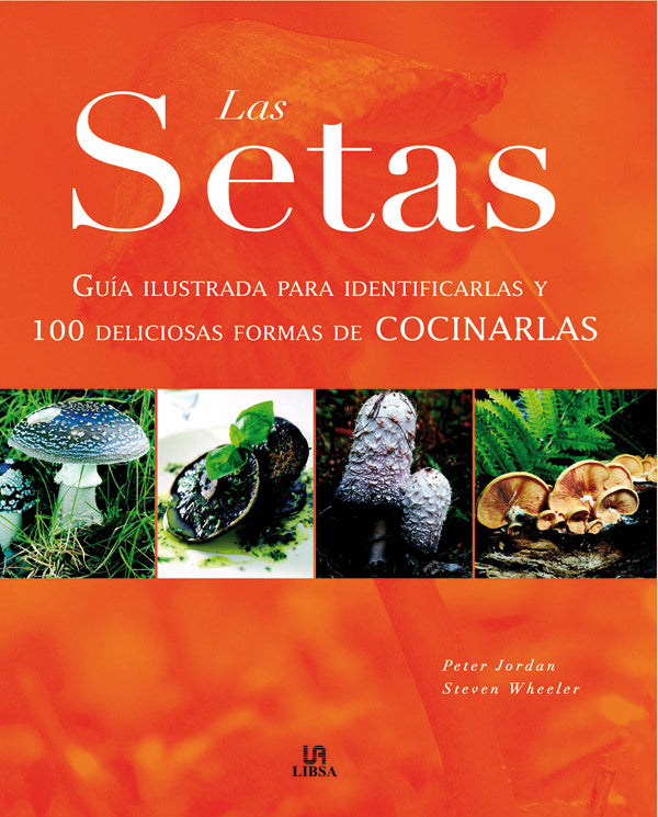 Las Setas, de JORDAN | portada del libro