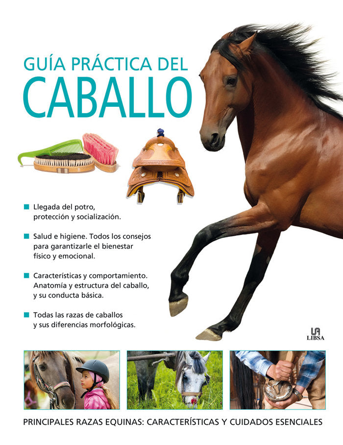Gu¡a Práctica del Caballo, de AA.VV. | portada del libro