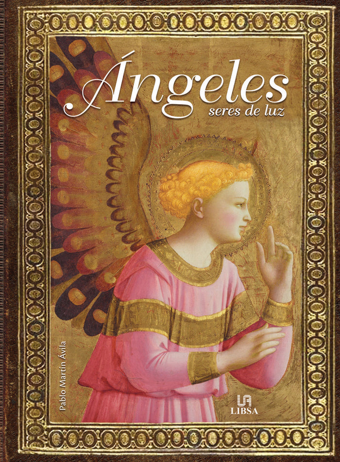 Angeles seres de luz | portada del libro