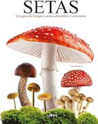 SETAS, de LIZ O KEEFE | portada del libro