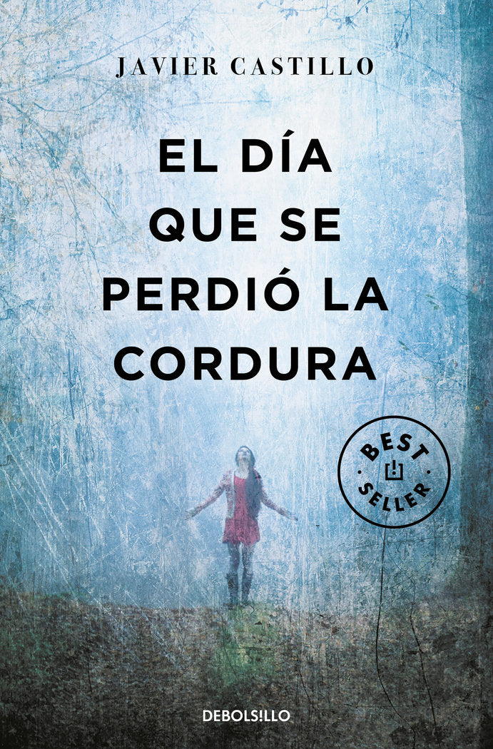 El día que se perdió la cordura, de Castillo, Javier | portada del libro