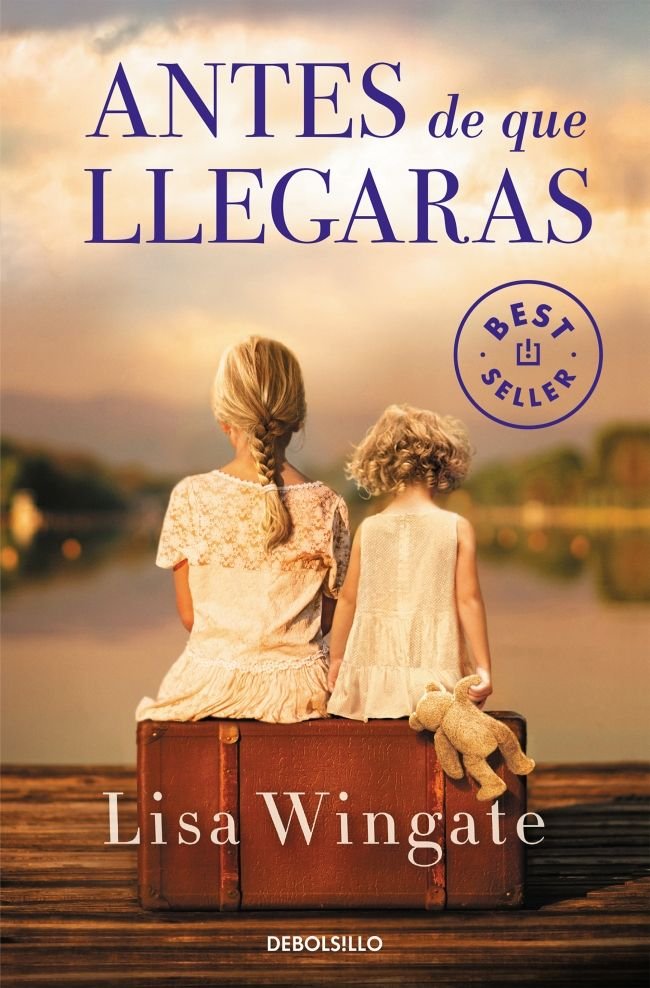 Antes de que llegaras, de Wingate, Lisa | portada del libro