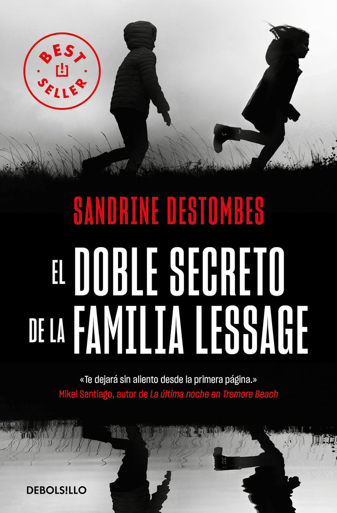 El doble secreto de la familia Lessage, de Destombes, Sandrine | portada del libro