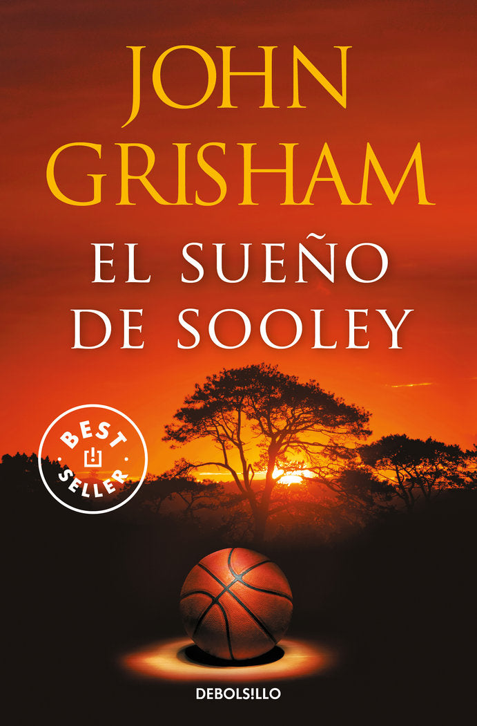 EL SUEÑO DE SOOLEY, de JOHN GRISHAM | portada del libro