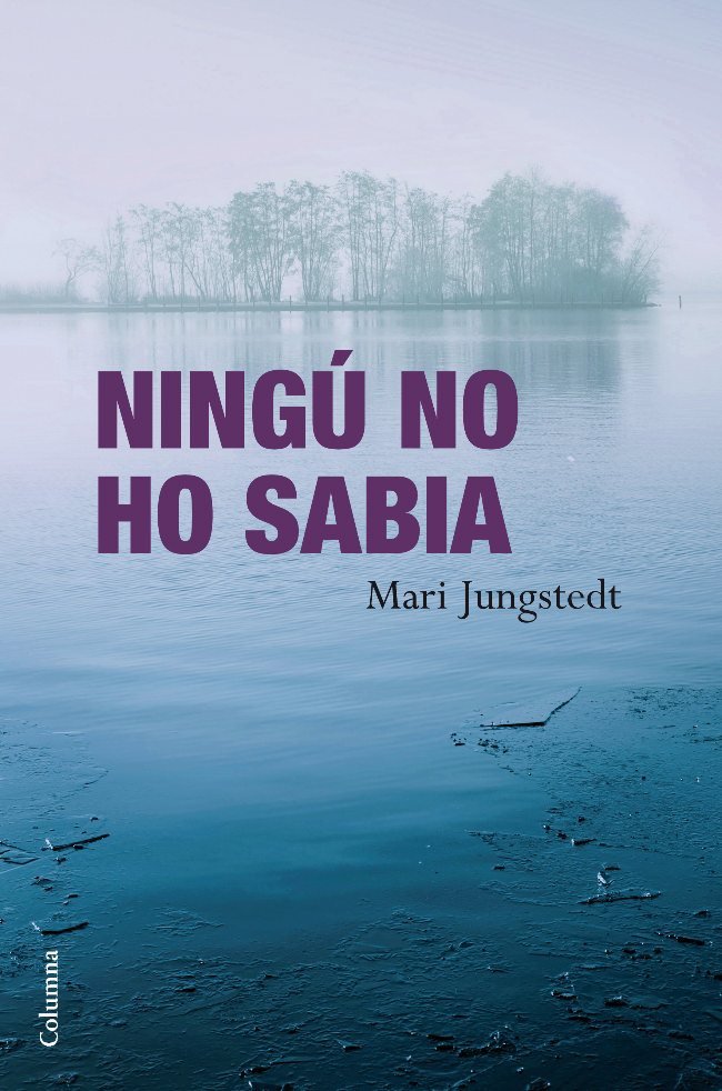 Ningú no ho sabia, de Jungstedt | portada del libro