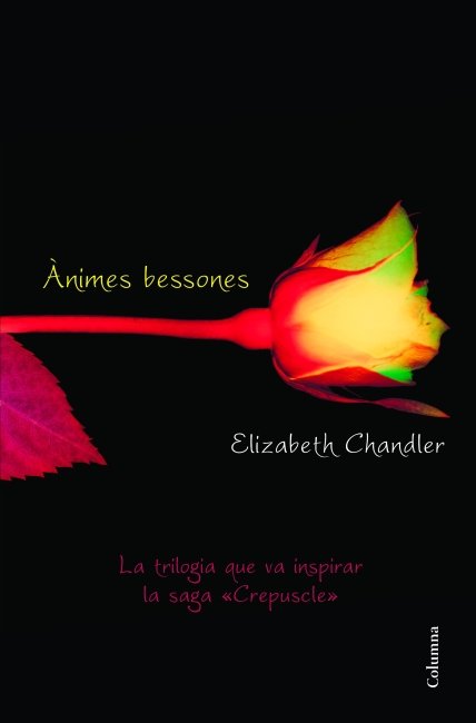 Ànimes bessones, de Gombau | portada del libro