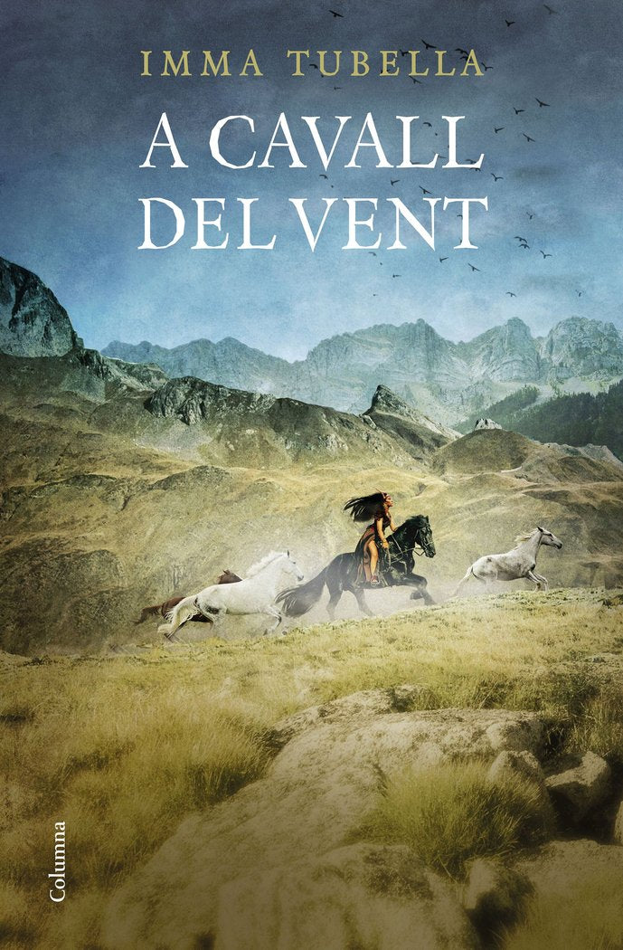 A cavall del vent, de Tubella Casadevall | portada del libro