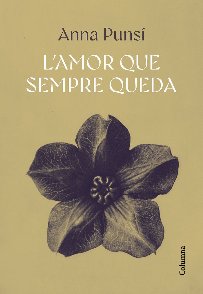 L'amor que sempre queda, de PUNSI LLADO, ANNA | portada del libro