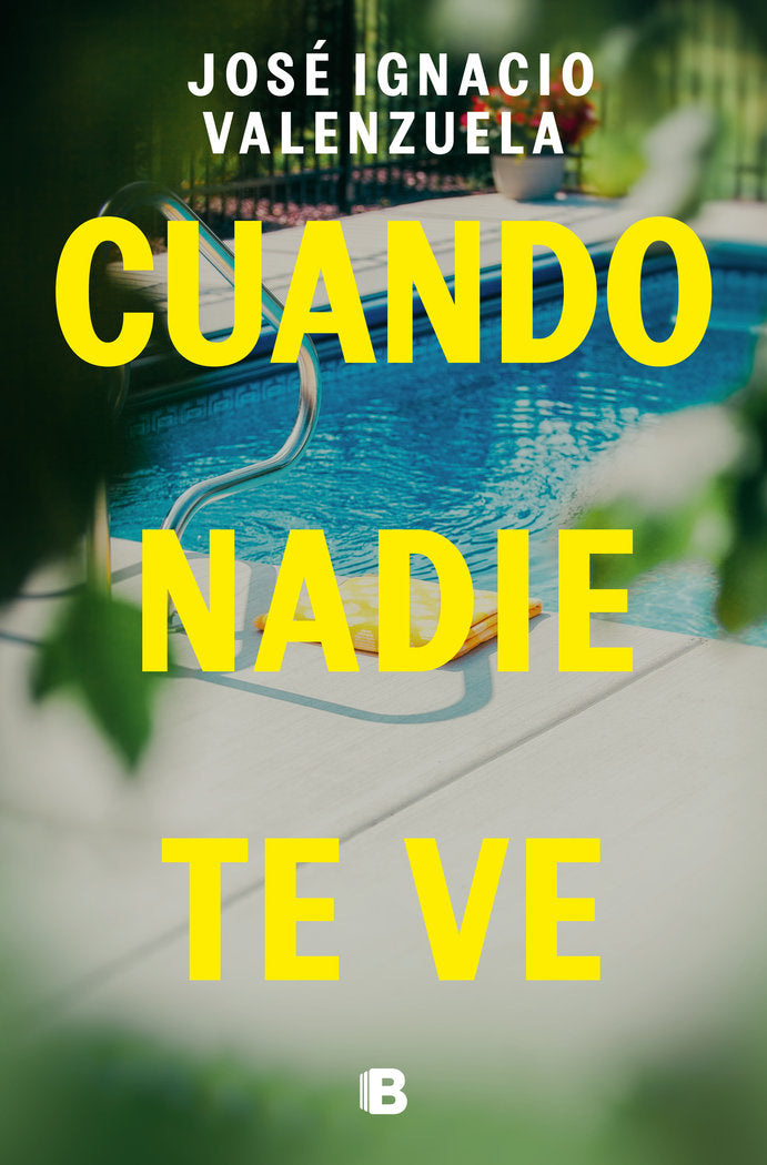 Cuando nadie te ve, de JOSE IGNACIO VALENZUELA | portada del libro