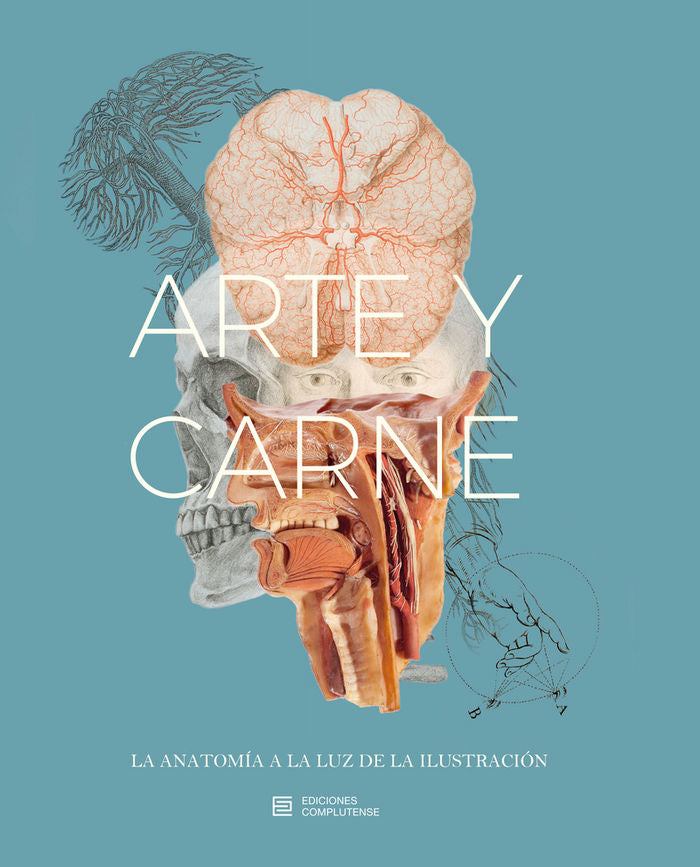 Arte y Carne. La anatomía a la luz de la Ilustración, de Varios autores | portada del libro