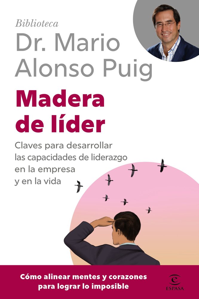 MADERA DE LIDER, de MARIO ALONSO PUIG | portada del libro